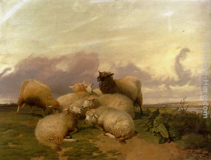 Sheep In Canterbury Water Meadows painting - Thomas Sidney Cooper Sheep In Canterbury Water Meadows art painting